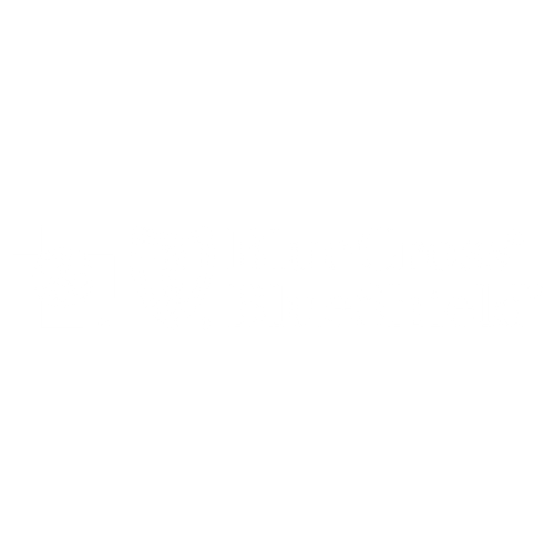 White Logo - BCBS