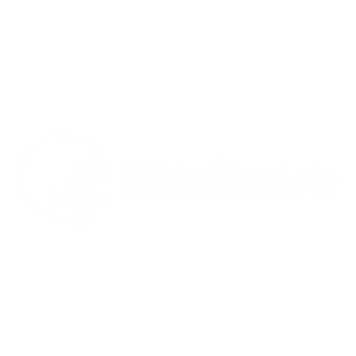 White Logo - Medicare